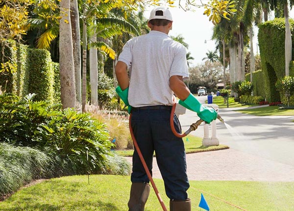 About Pineville WV Pest Control Pros